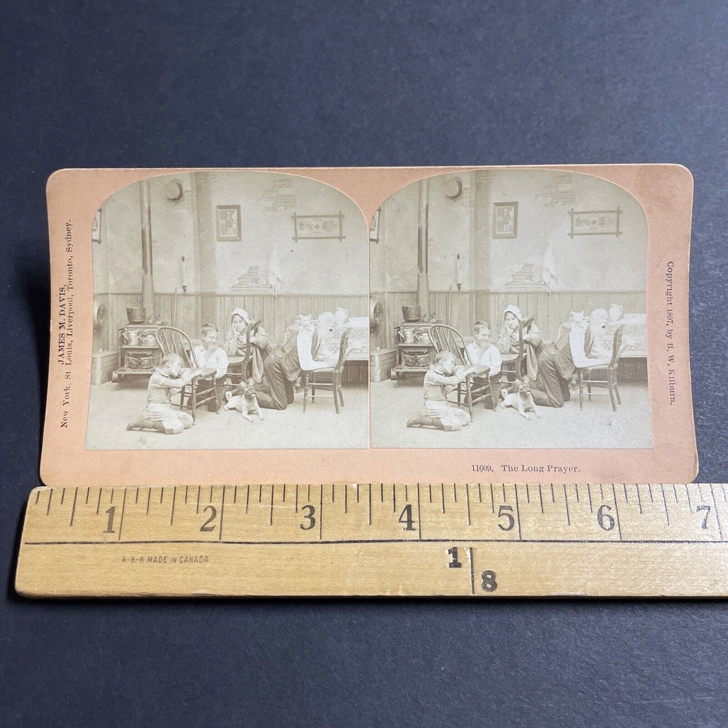 Antique 1897 Cat Attacks Praying Man In Kitchen Stereoview Photo Card P5532