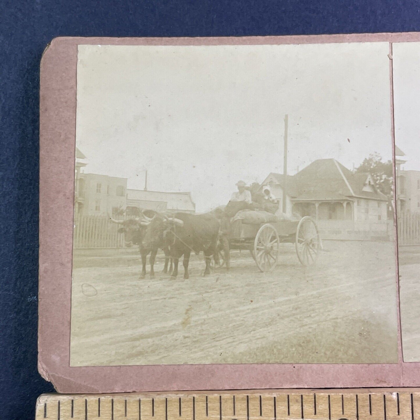 African American Settlers In Ox Wagon Stereoview Antique c1890 X1809