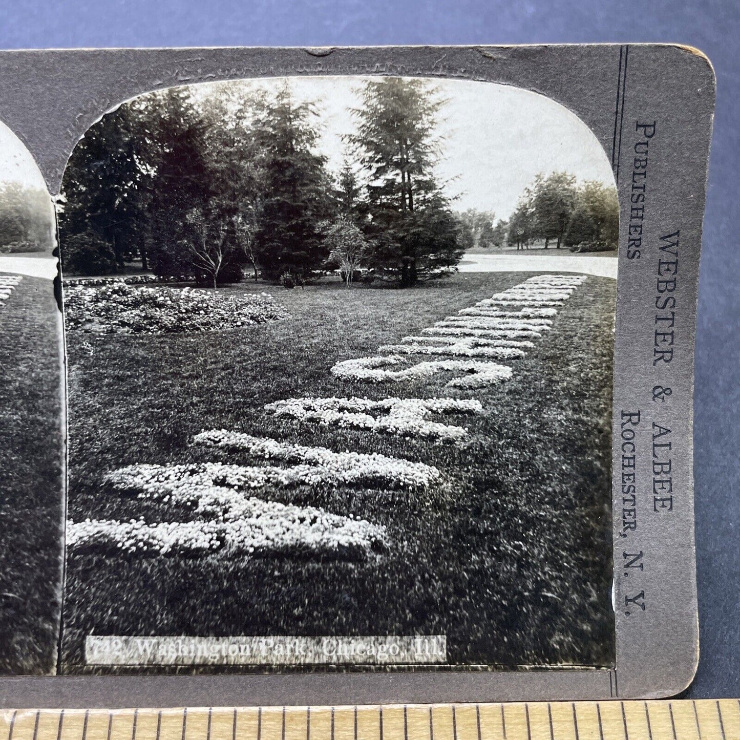 Antique 1906 Washington Park Chicago Illinois Stereoview Photo Card P2454