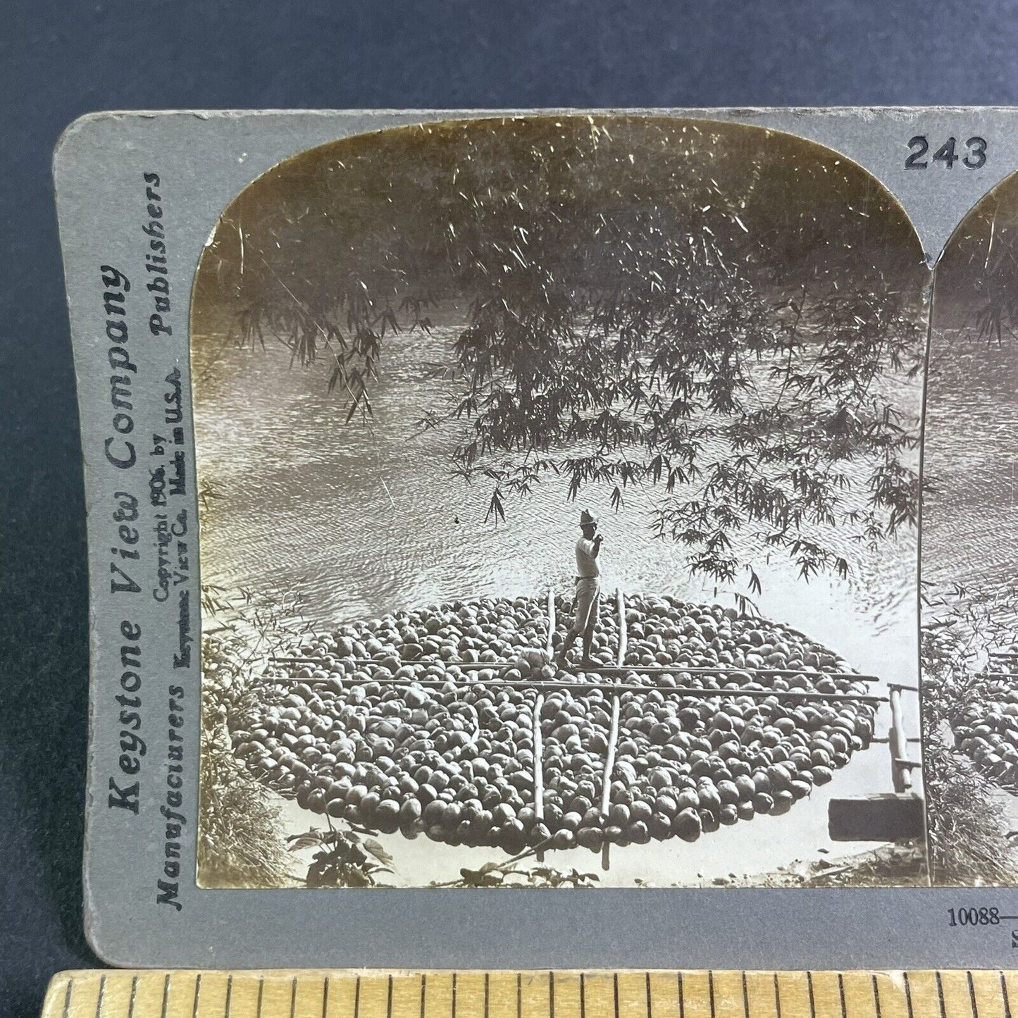 Antique 1906 A Raft Boat Made Of Coconuts Stereoview Photo Card P2220