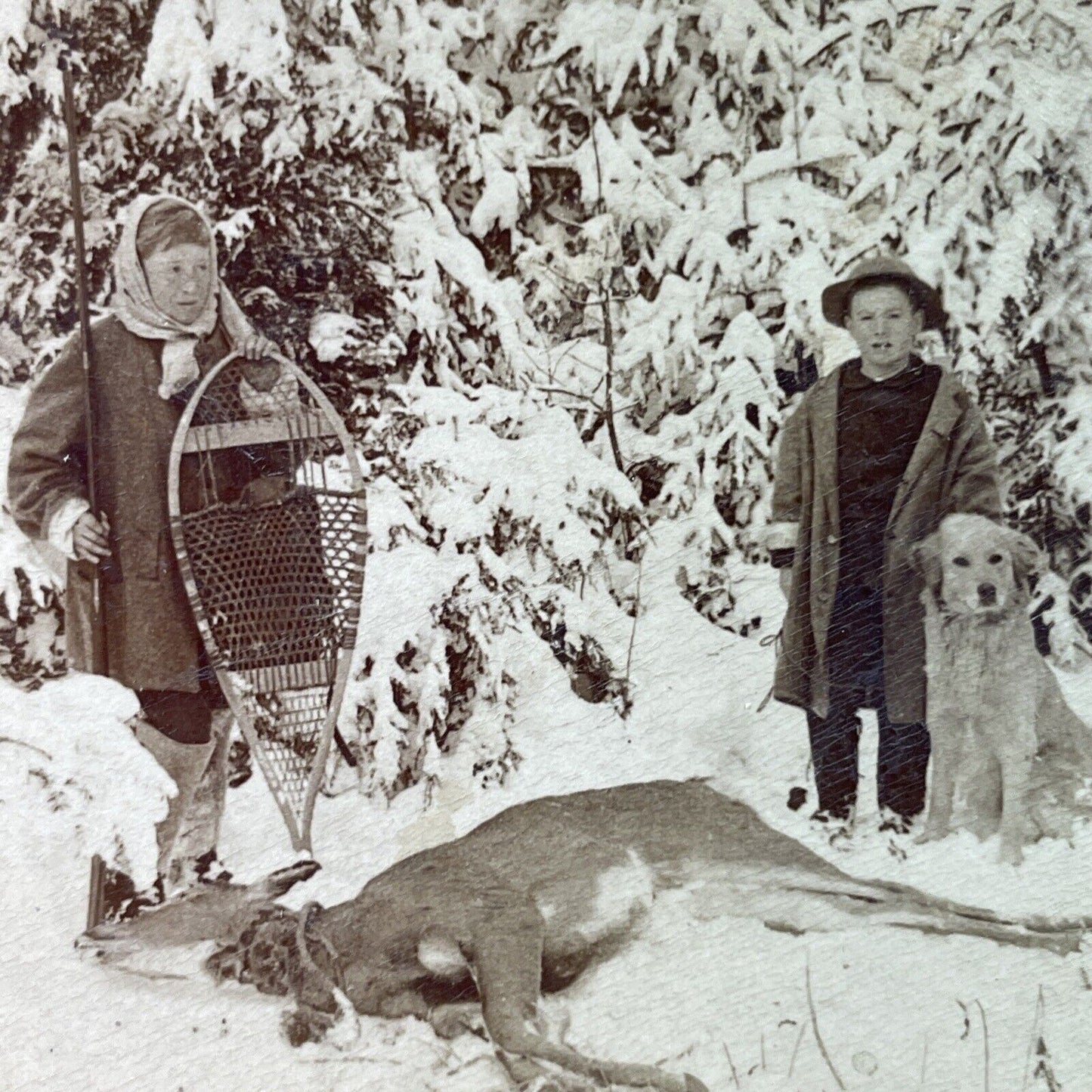 Antique 1889 Children Hunt And Kill A Deer Stereoview Photo Card P3307