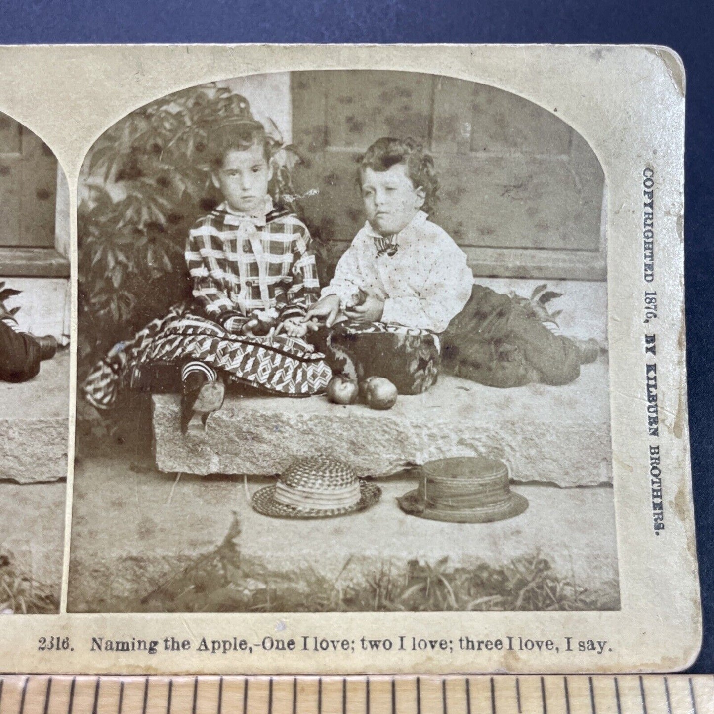 Antique 1876 Children Eating Apples On A Stoop Stereoview Photo Card P3535