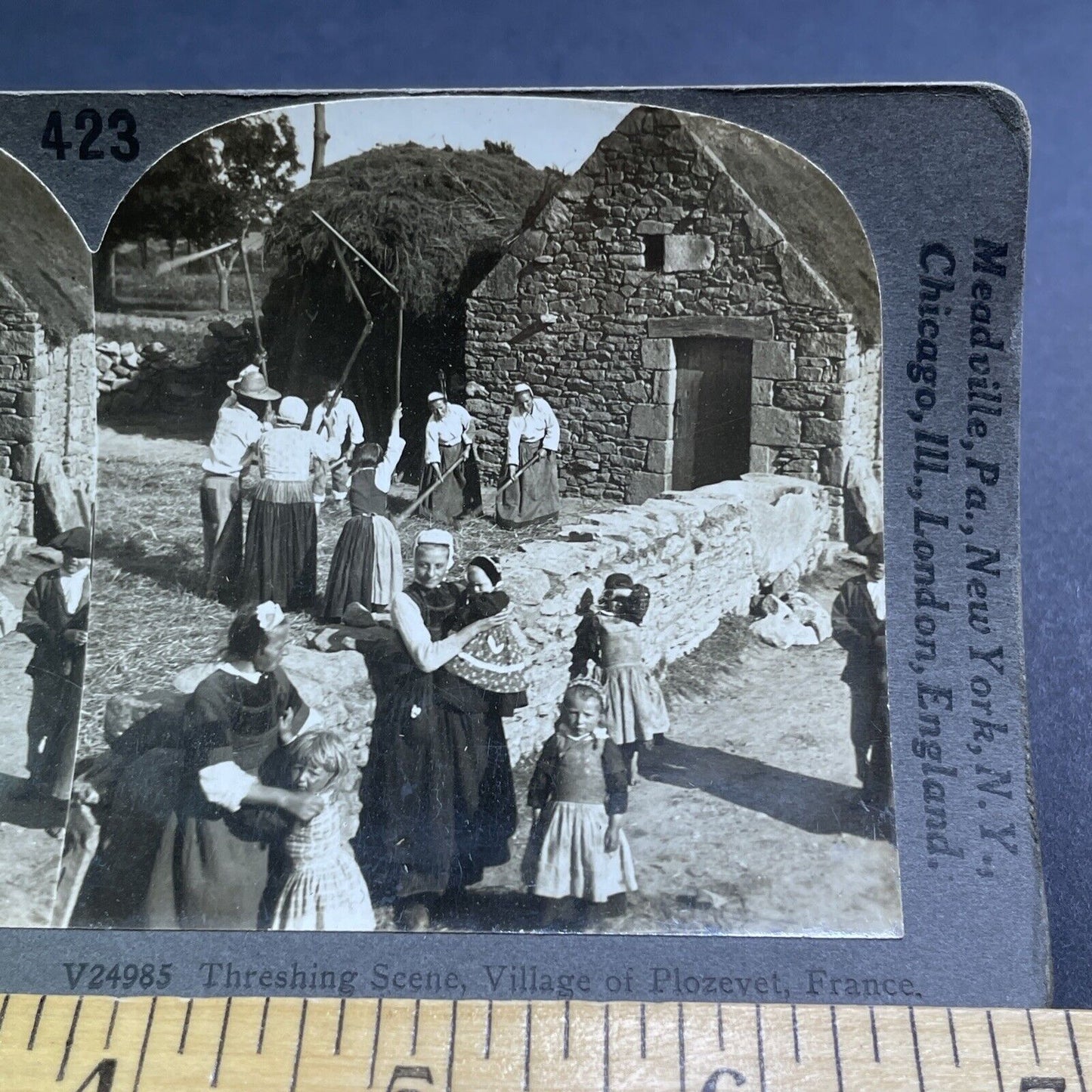 Antique 1909 Women Threshing Wheat Plozevet France Stereoview Photo Card P1940