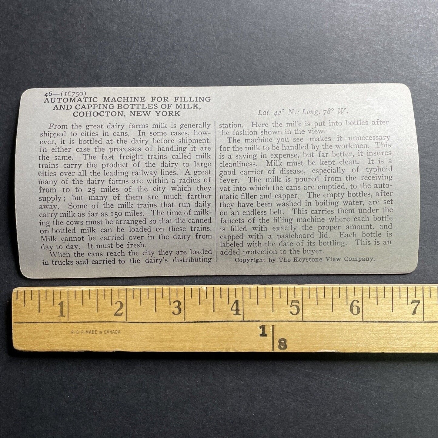 Antique 1920 Milk Bottling Factory Cohocton New York Stereoview Photo Card P1512