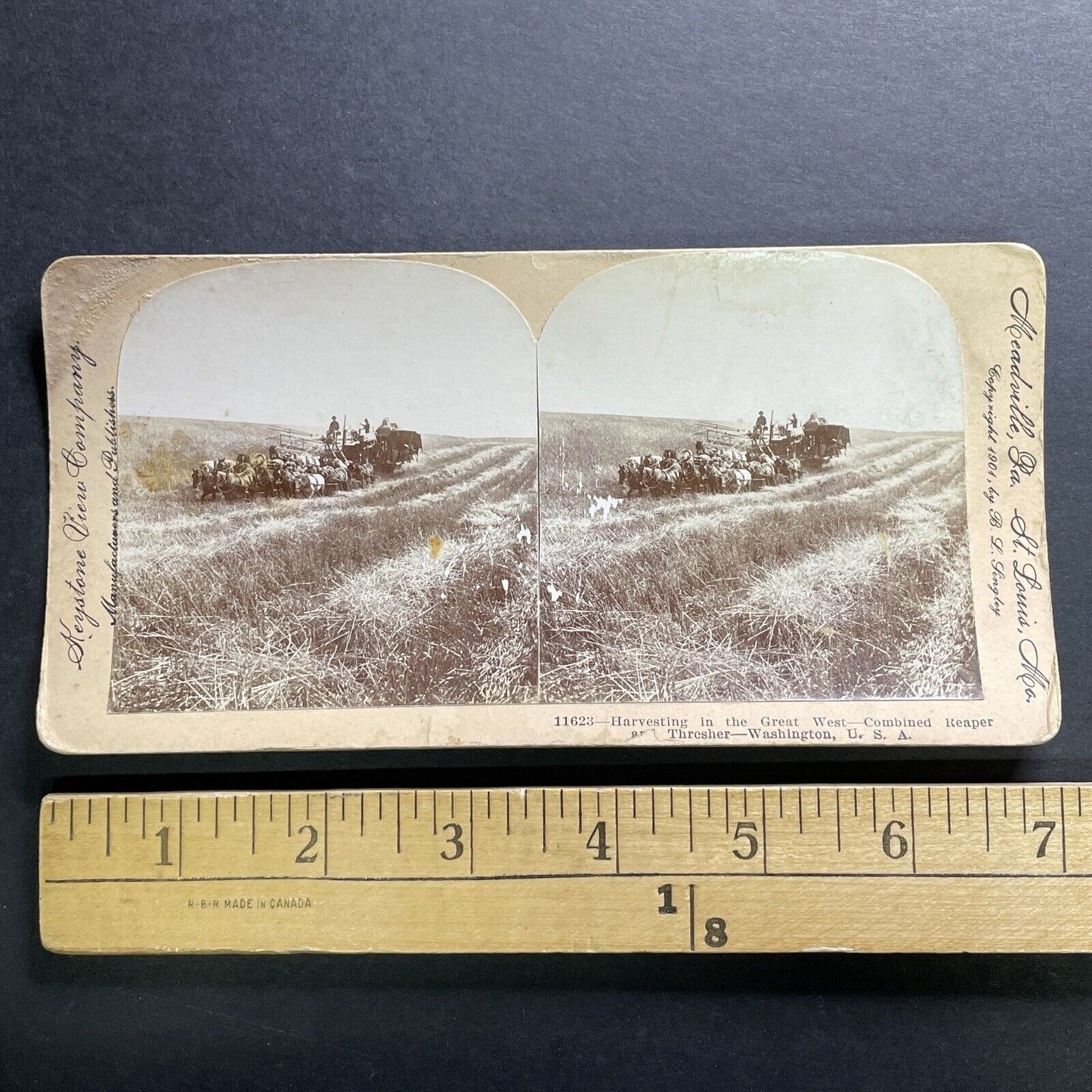 Antique 1901 Horse Drawn Hay Combine In Washington Stereoview Photo Card P1275