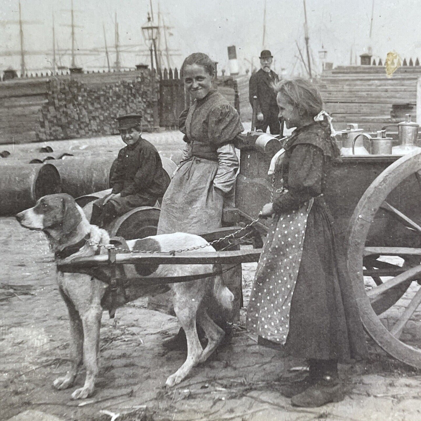 Antique 1896 Dog Delivering Milk Antwerp Belgium Stereoview Photo Card P2118