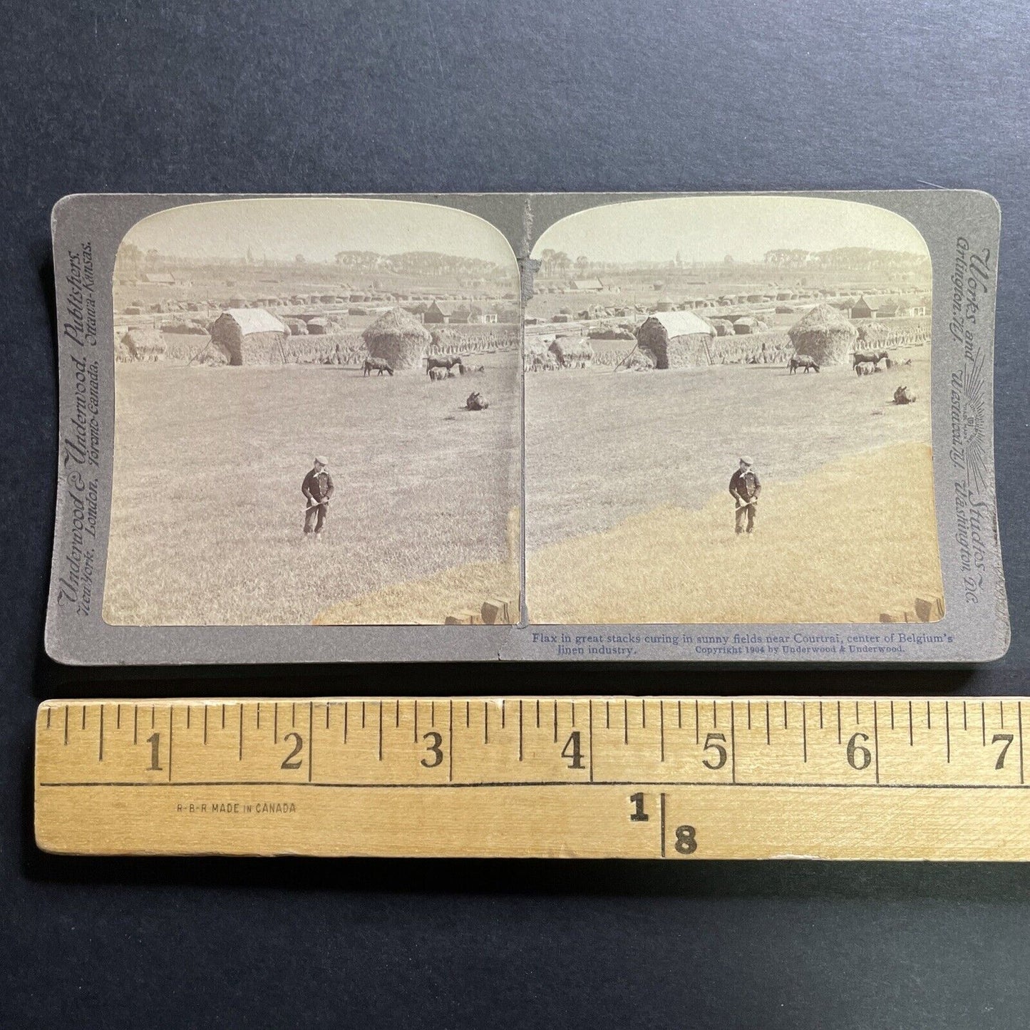 Antique 1904 Boy On Hay Farm Kortrijk Belgium Stereoview Photo Card P1471