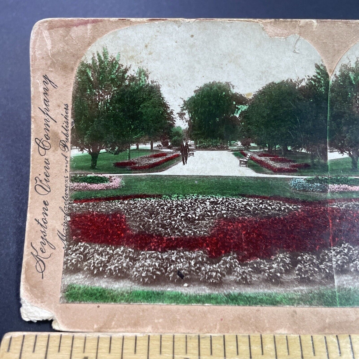 Antique 1897 Drexel Blvd Chicago Illinois Stereoview Photo Card P3872