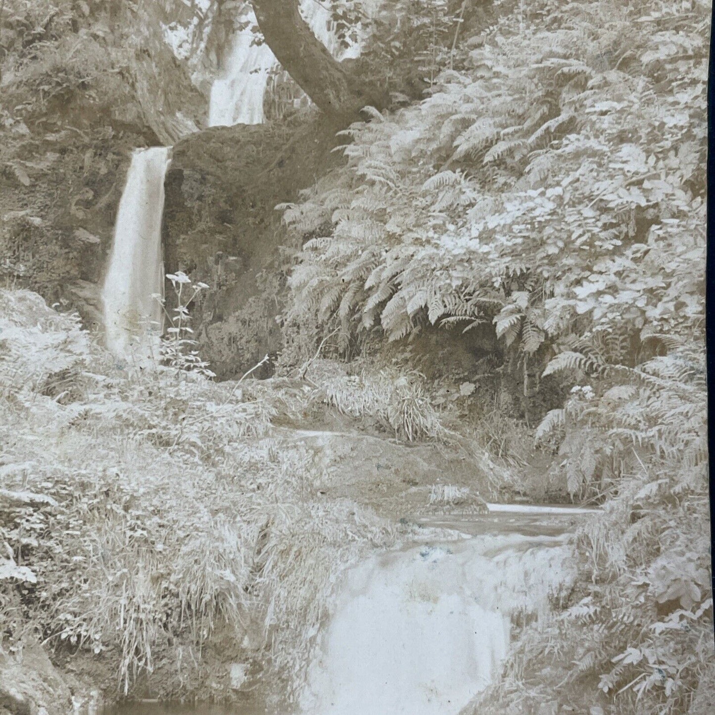 Antique 1909 Dolgoch Falls Tywyn Wales England Stereoview Photo Card V2209