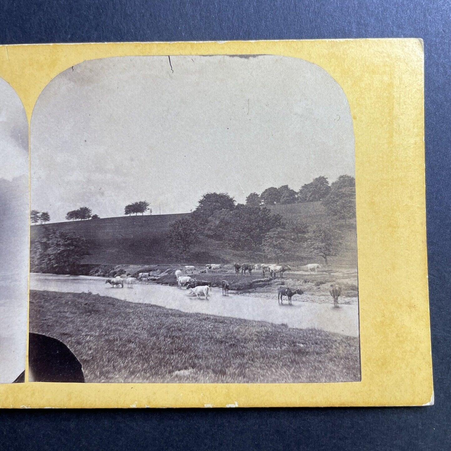 Antique 1860s Chatsworth Estate Park Derbyshire Stereoview Photo Card P1635