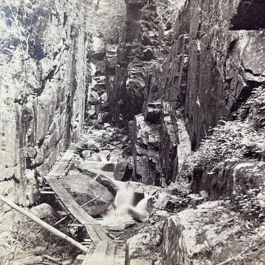 Antique 1870s Franconia Notch Pathway New Hampshire Stereoview Photo Card V2009