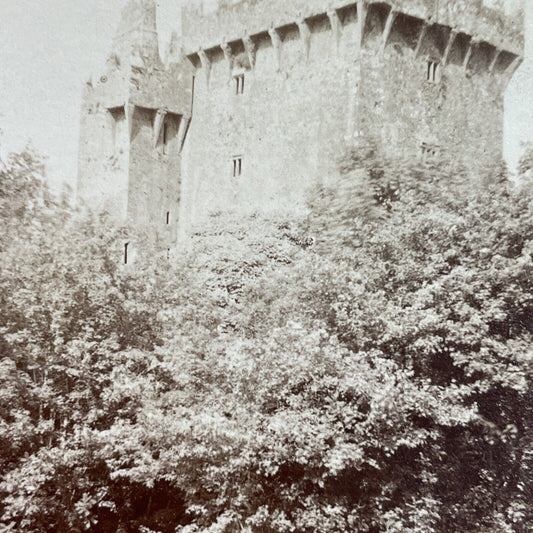 Antique 1896 Blarney Castle Cork Ireland Stereoview Photo Card P3886