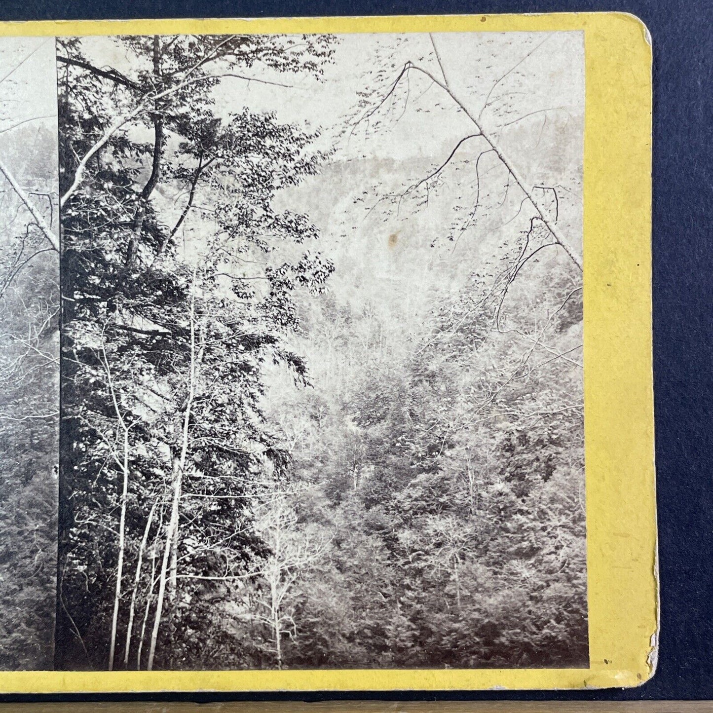 Taughannock Ravine Ithaca New York Stereoview E&HT Anthony Antique c1870 X3640