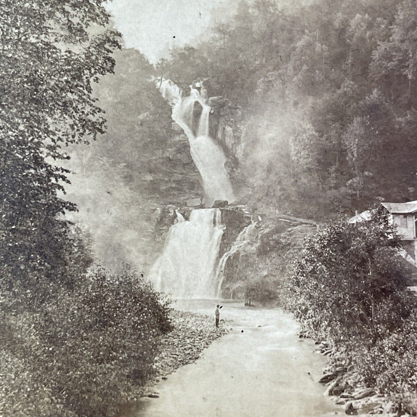 Switzerland Reichenbach Waterfall Stereoview William England Antique c1870 X4074