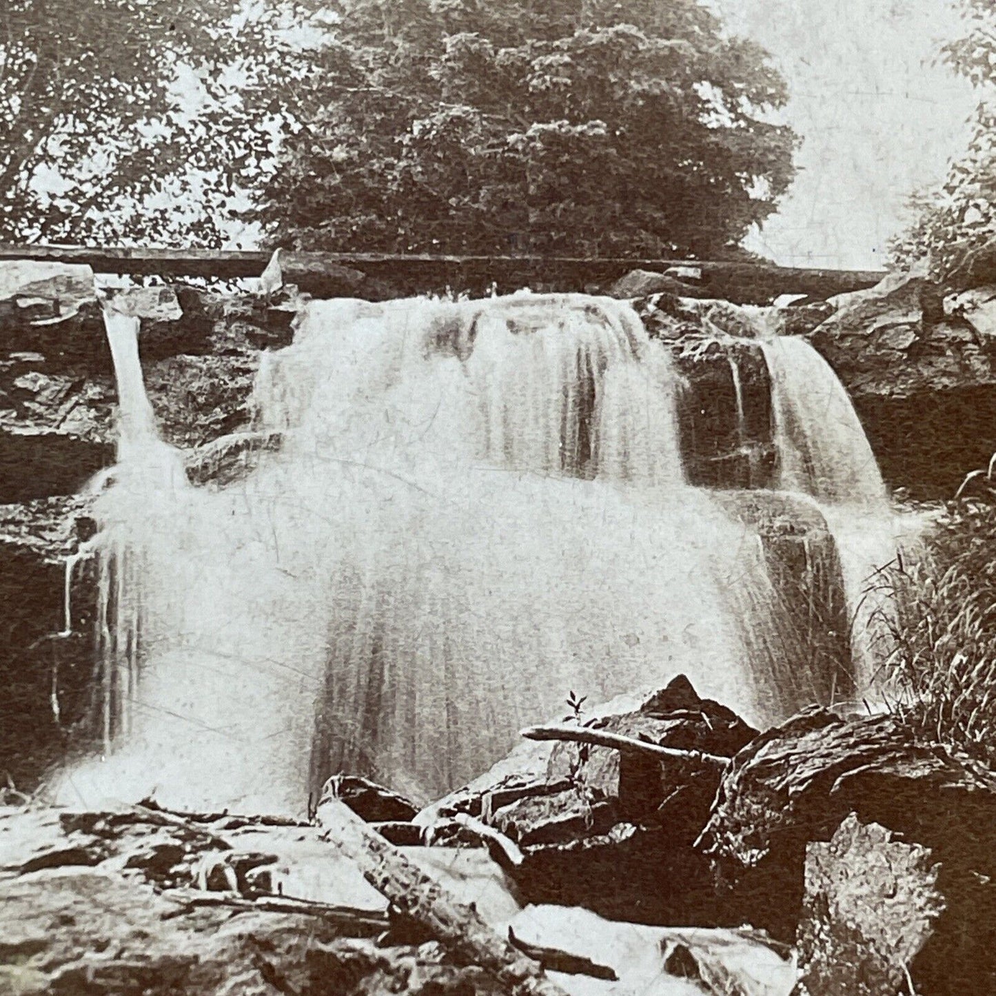 Cascade Falls Métis-sur-Mer Quebec Stereoview Cascade Brook Antique c1880s X3275