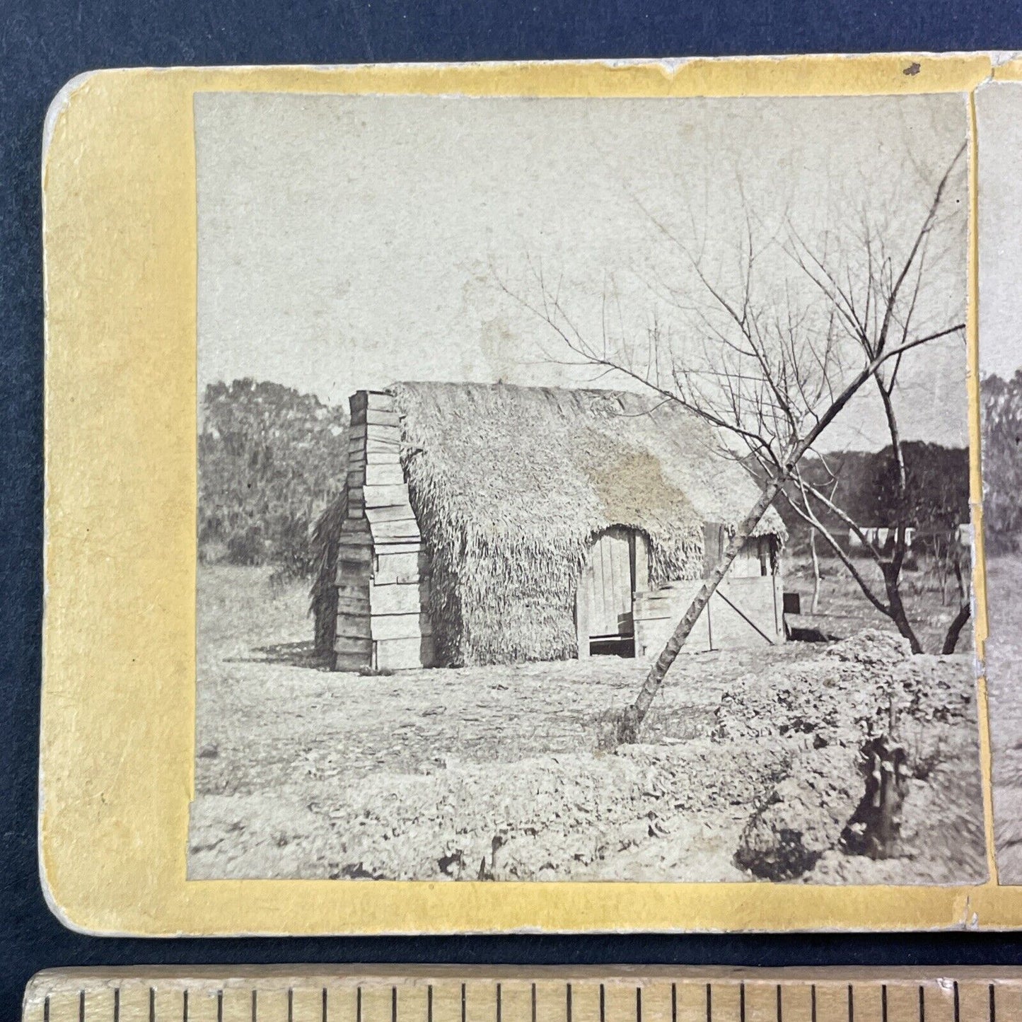 Primus Mitchell Thatched Cabin Stereoview Cumberland Island Georgia c1860 Y049