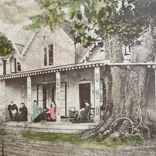 Antique 1870s Huge Oak Tree Grows Into House Florida Stereoview Photo Card P4774