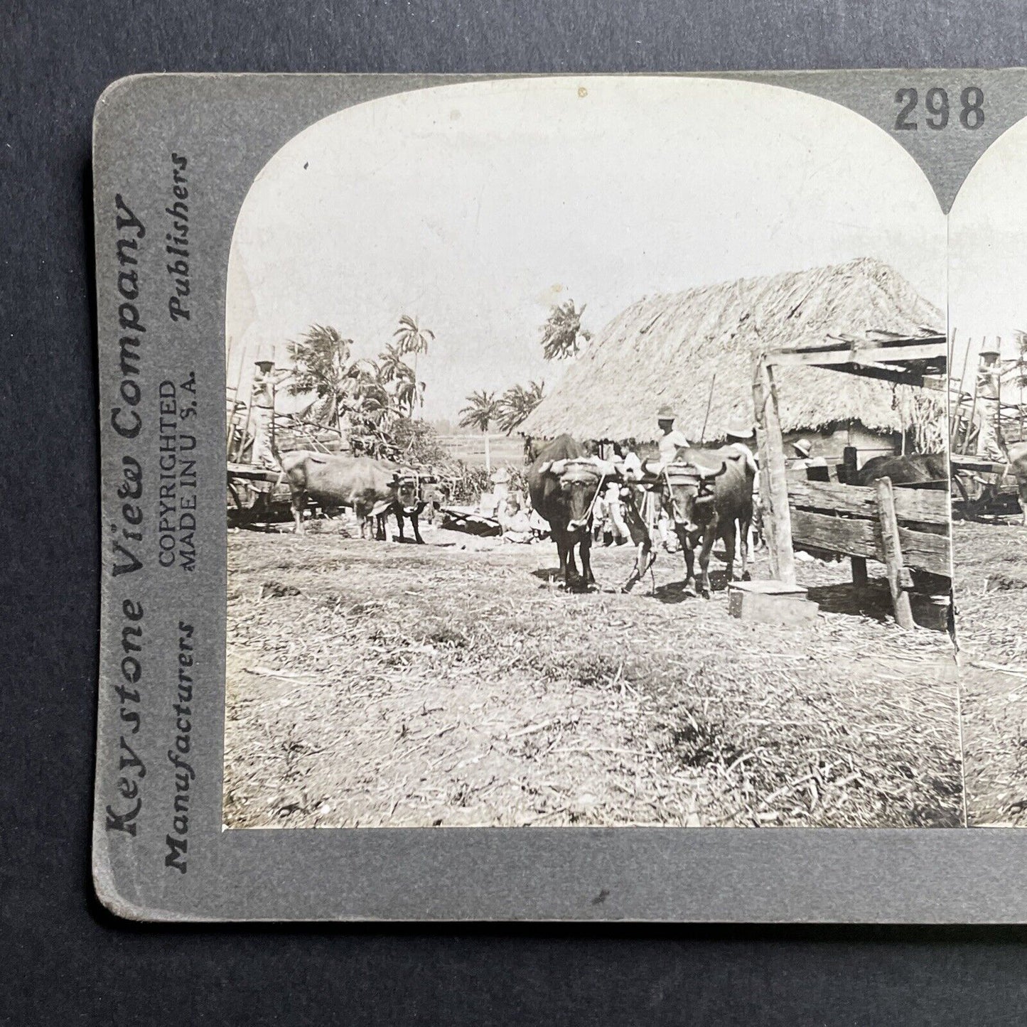 Antique 1918 Farming Farm In Havana Cuba Stereoview Photo Card P1612