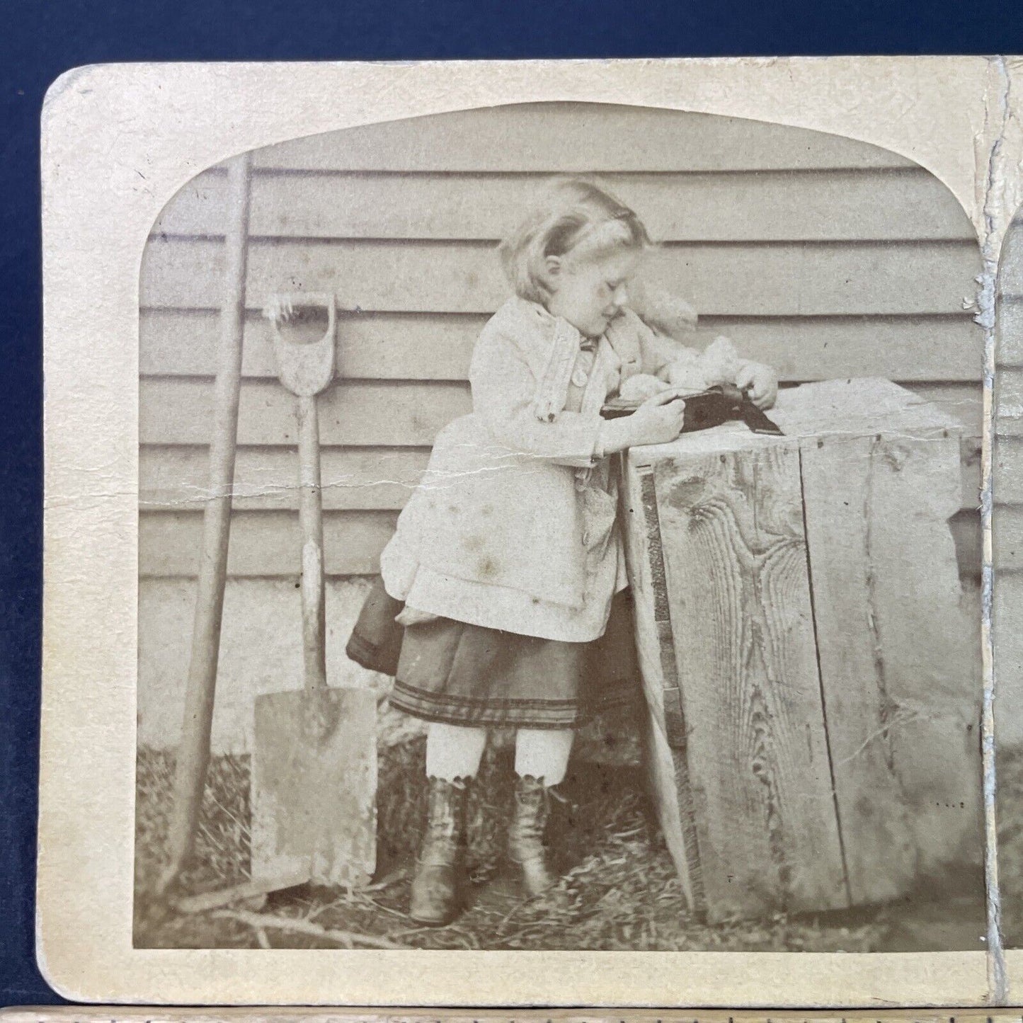 Antique 1880s Young Girl Saves Small Chicks Chickens Stereoview Photo Card P3341