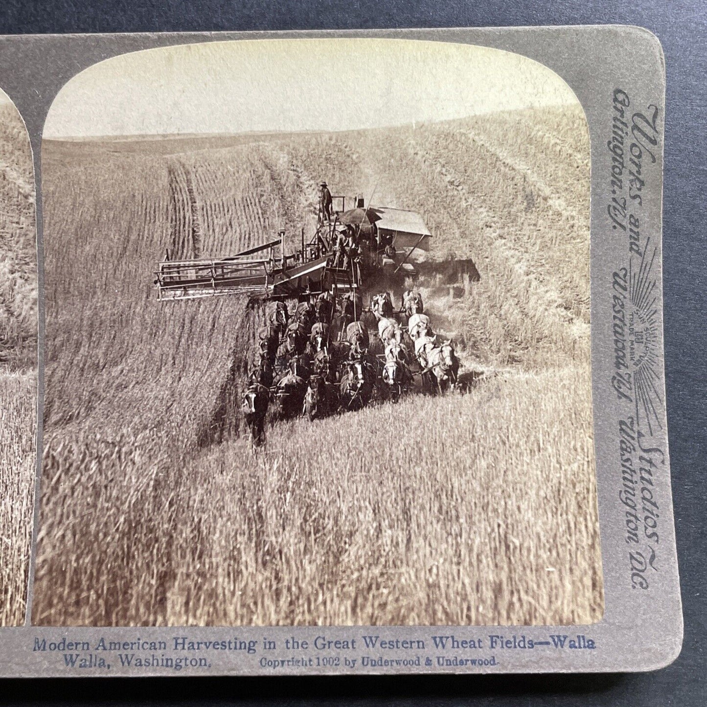 Antique 1902 Hay Combine Walla Walla Washington Stereoview Photo Card P1503