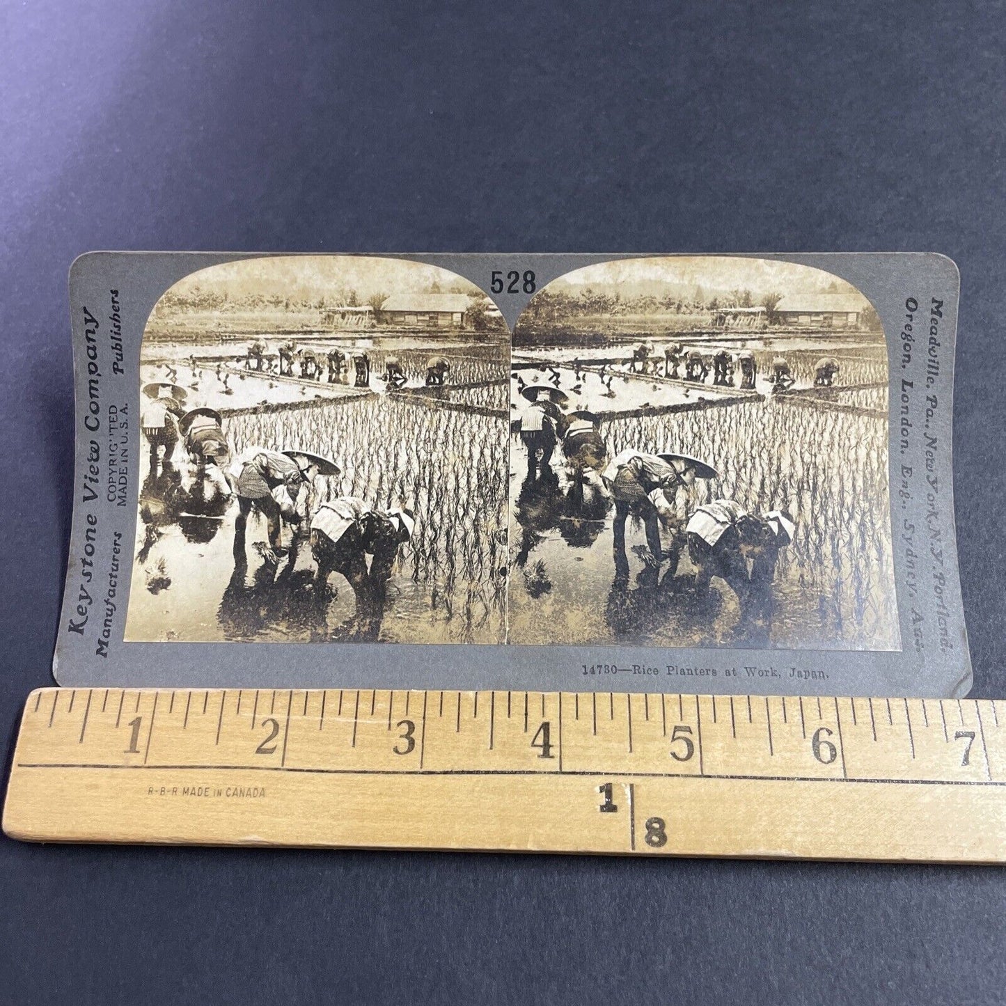 Antique 1909 Planting Rice In Fields Japan Stereoview Photo Card P3622