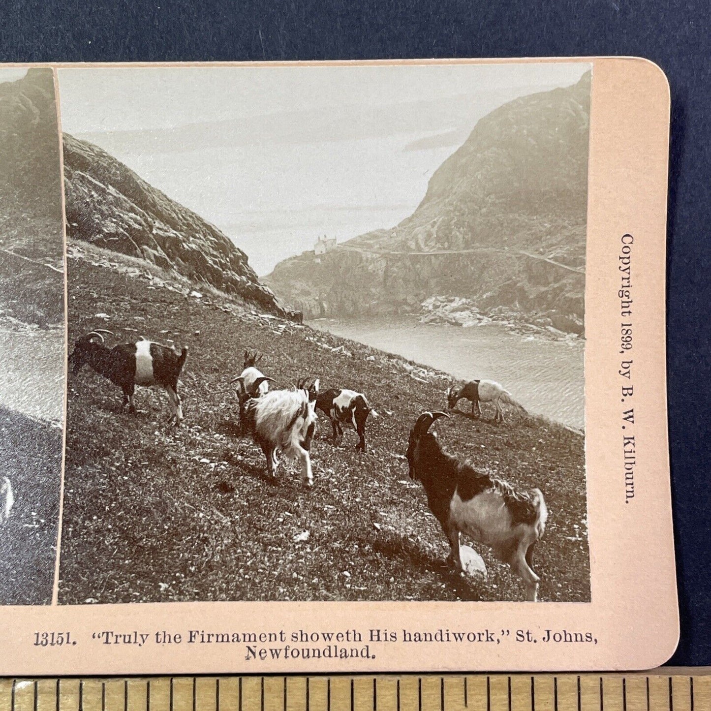 Fort Amherst Lighthouse Stereoview St. John's Newfoundland Antique c1899 X2762