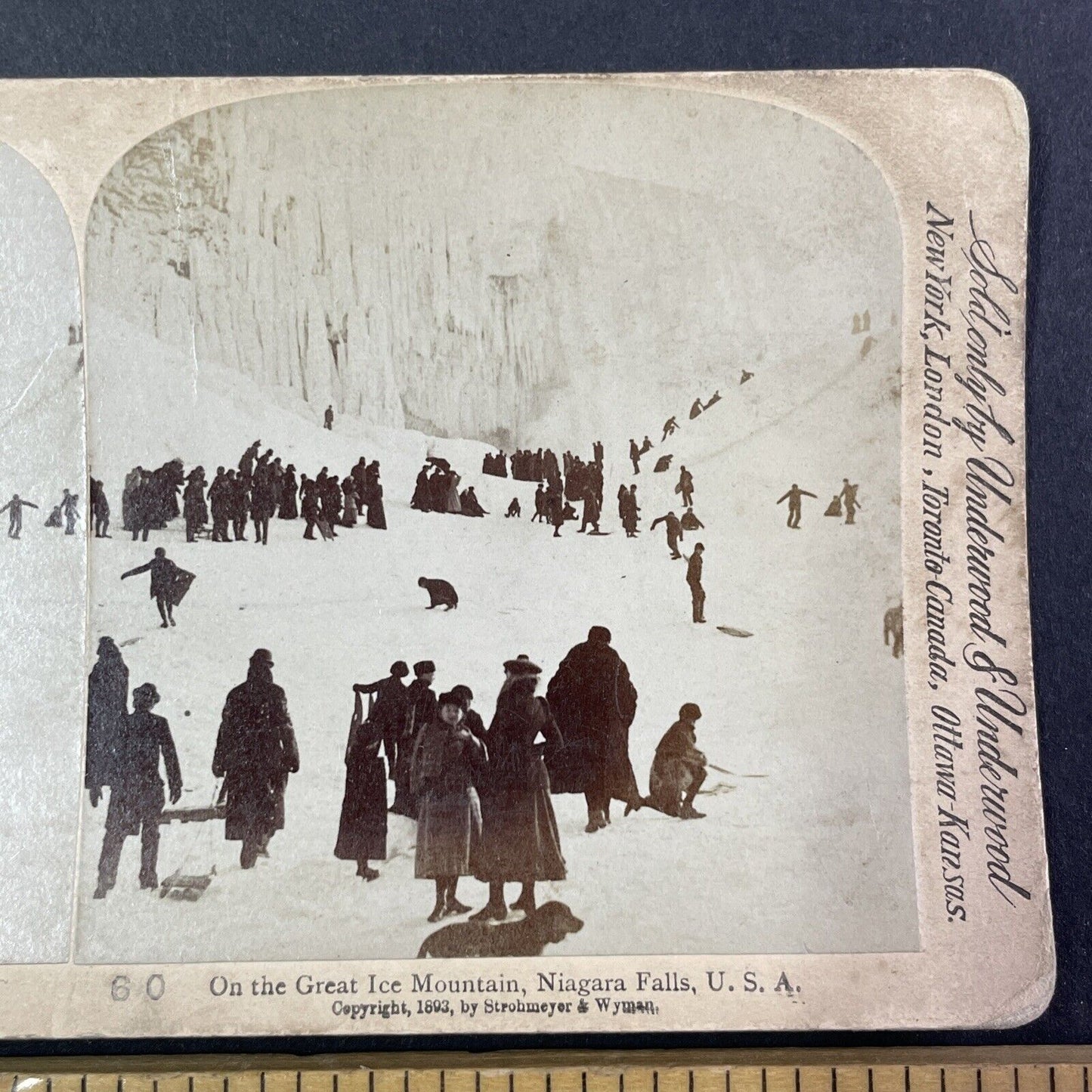 Victorian People Sledding on Snow Hills Stereoview Antique c1893 Y1783