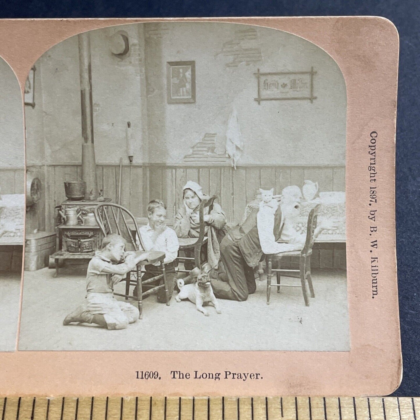 Antique 1897 Cat Attacks Praying Man In Kitchen Stereoview Photo Card P5532