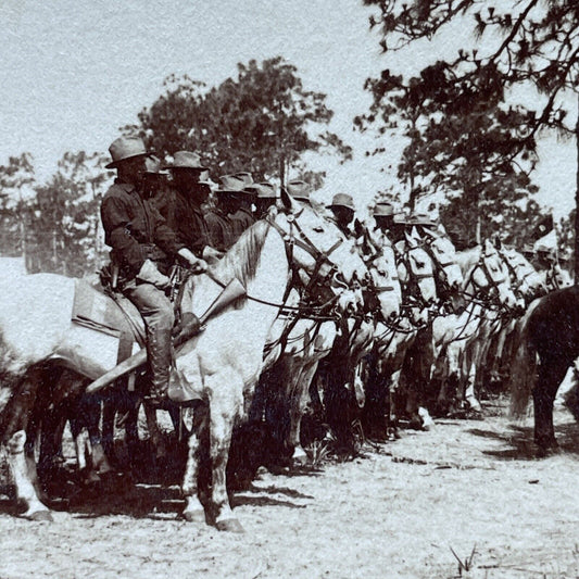 Antique 1898 6th US Cavalry In Tampa Bay Florida Stereoview Photo Card P2361