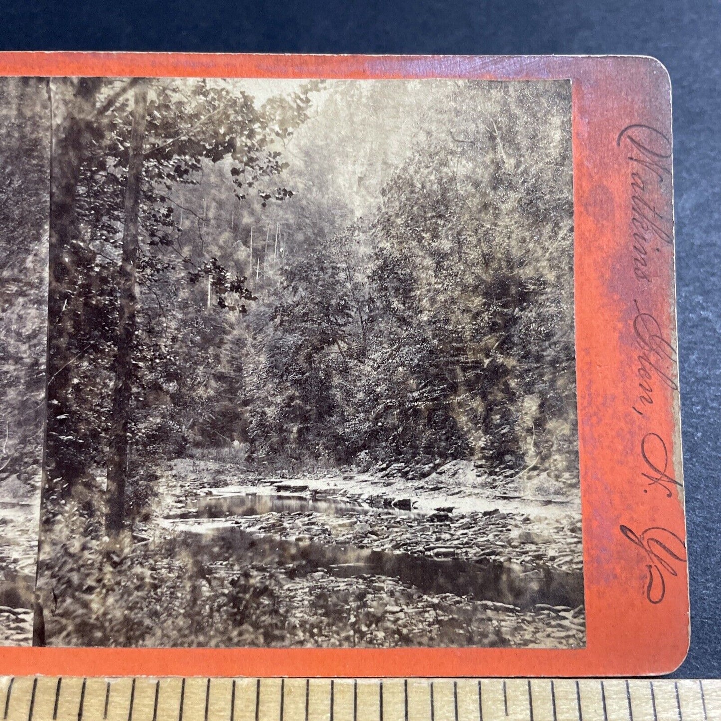 Antique 1860s Ravine Near Taughanic Falls Cayuga Lake Stereoview Photo Card 5118