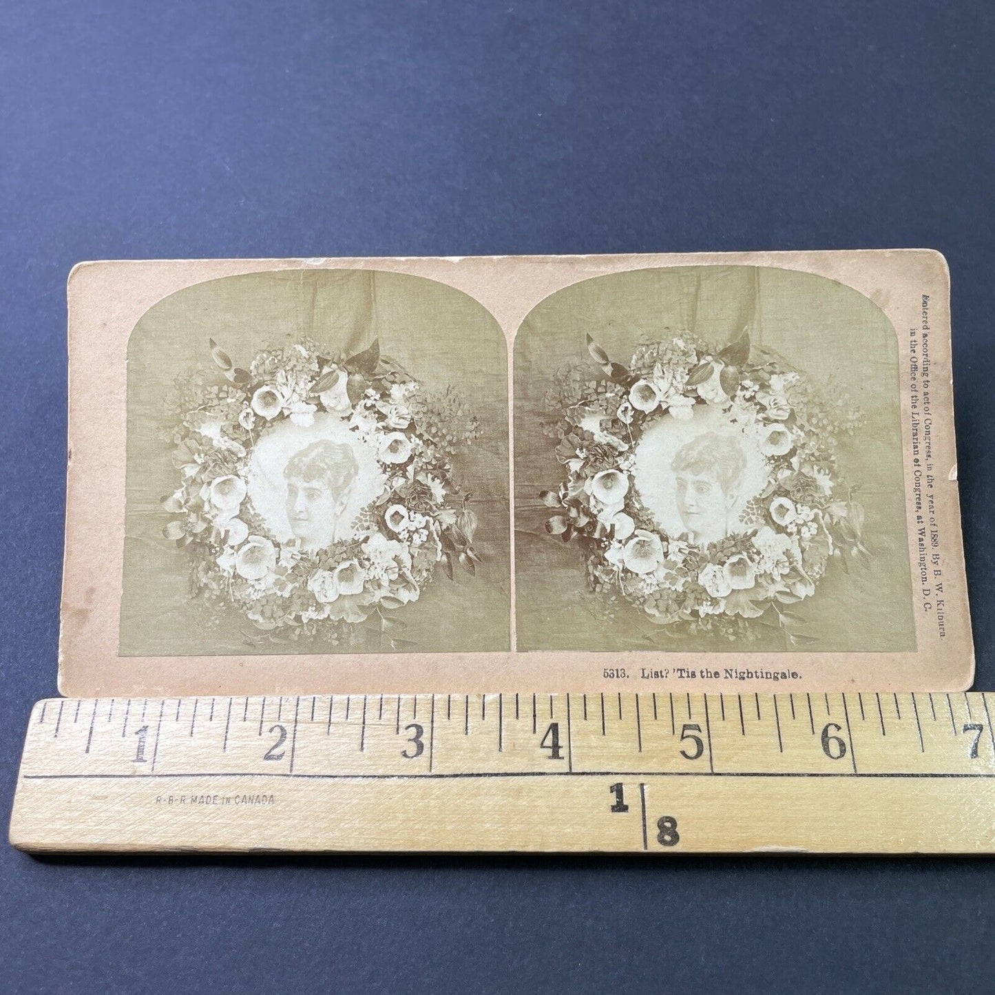 Antique 1889 Mrs Frances Cleveland Presidents Wife Stereoview Photo Card P3087