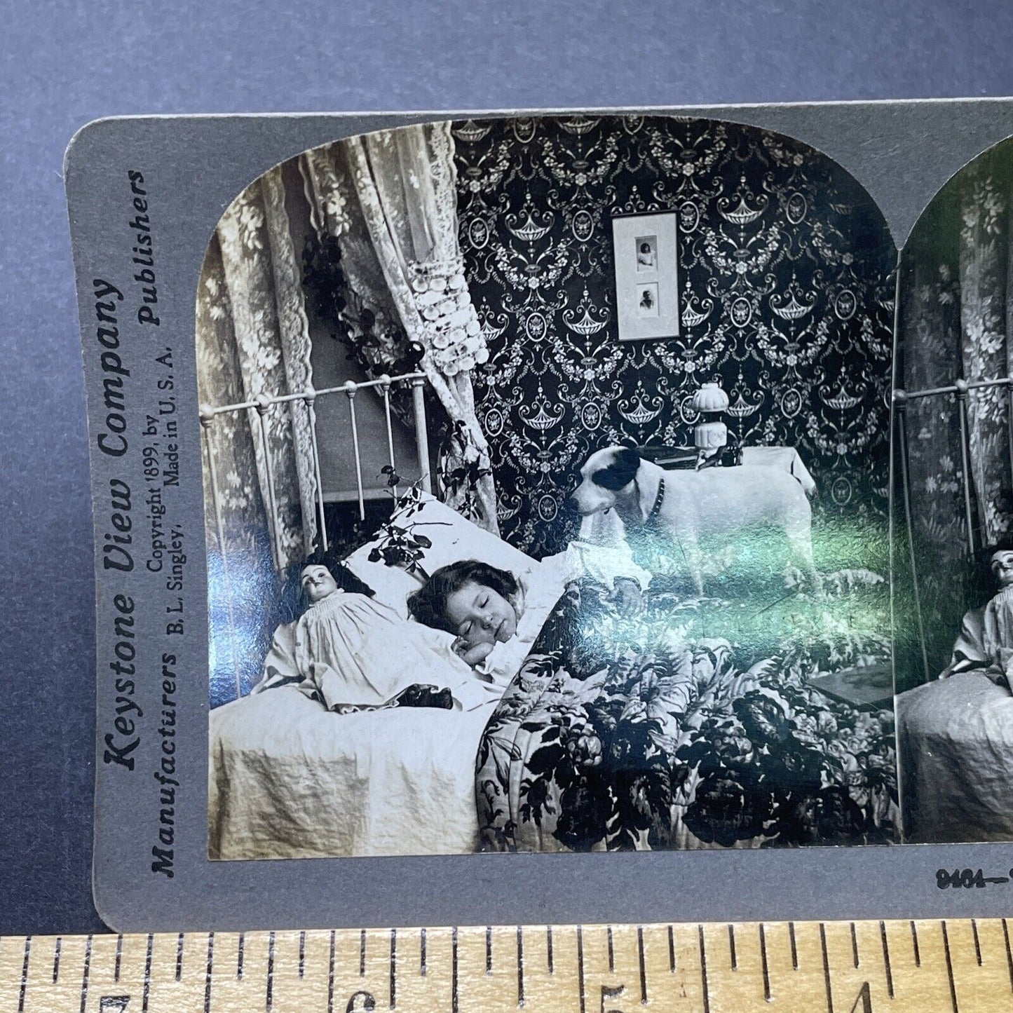 Antique 1899 Small Dog Wakes Sleeping Child Stereoview Photo Card P2294