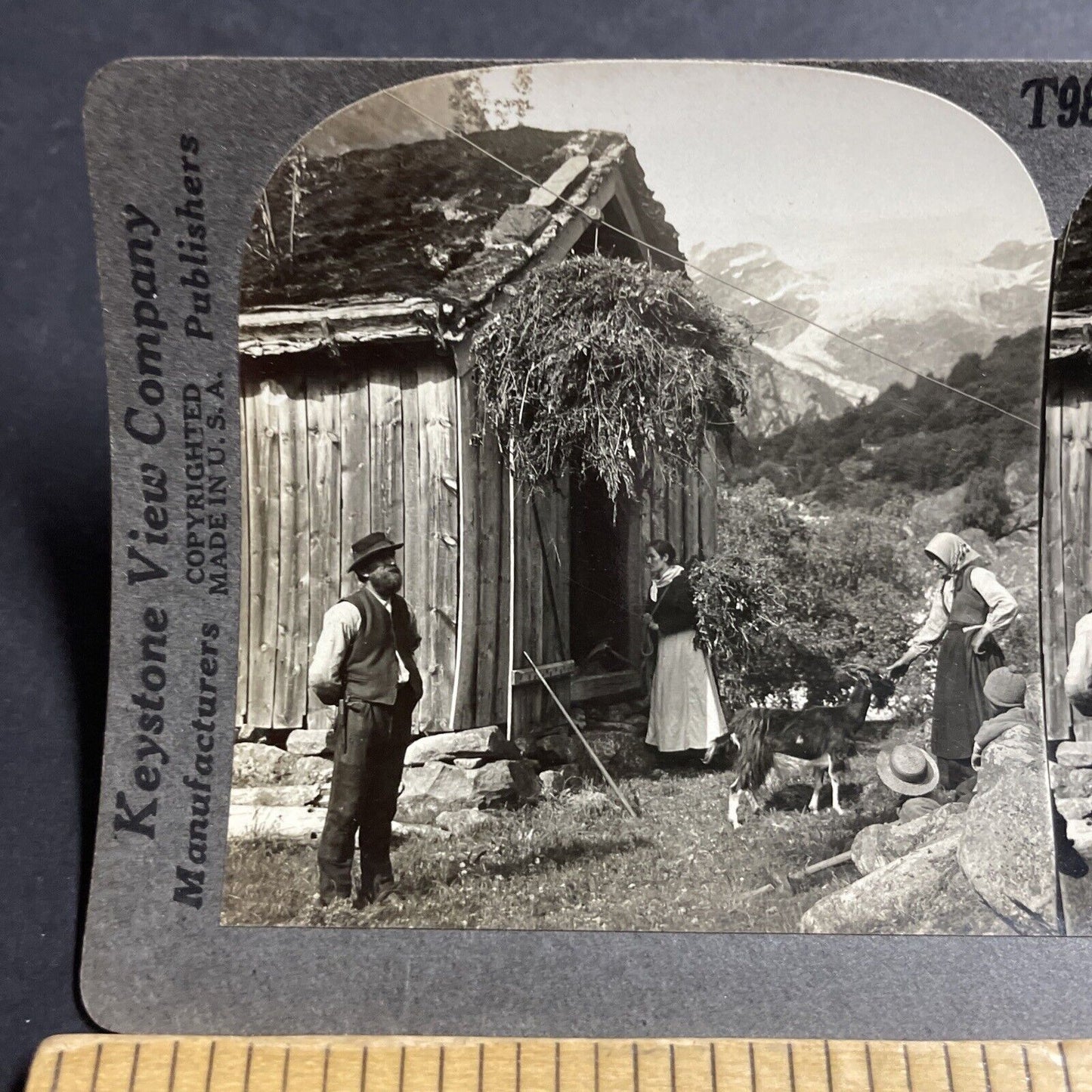 Antique 1910s A Zipline In Northern Norway Stereoview Photo Card P5182