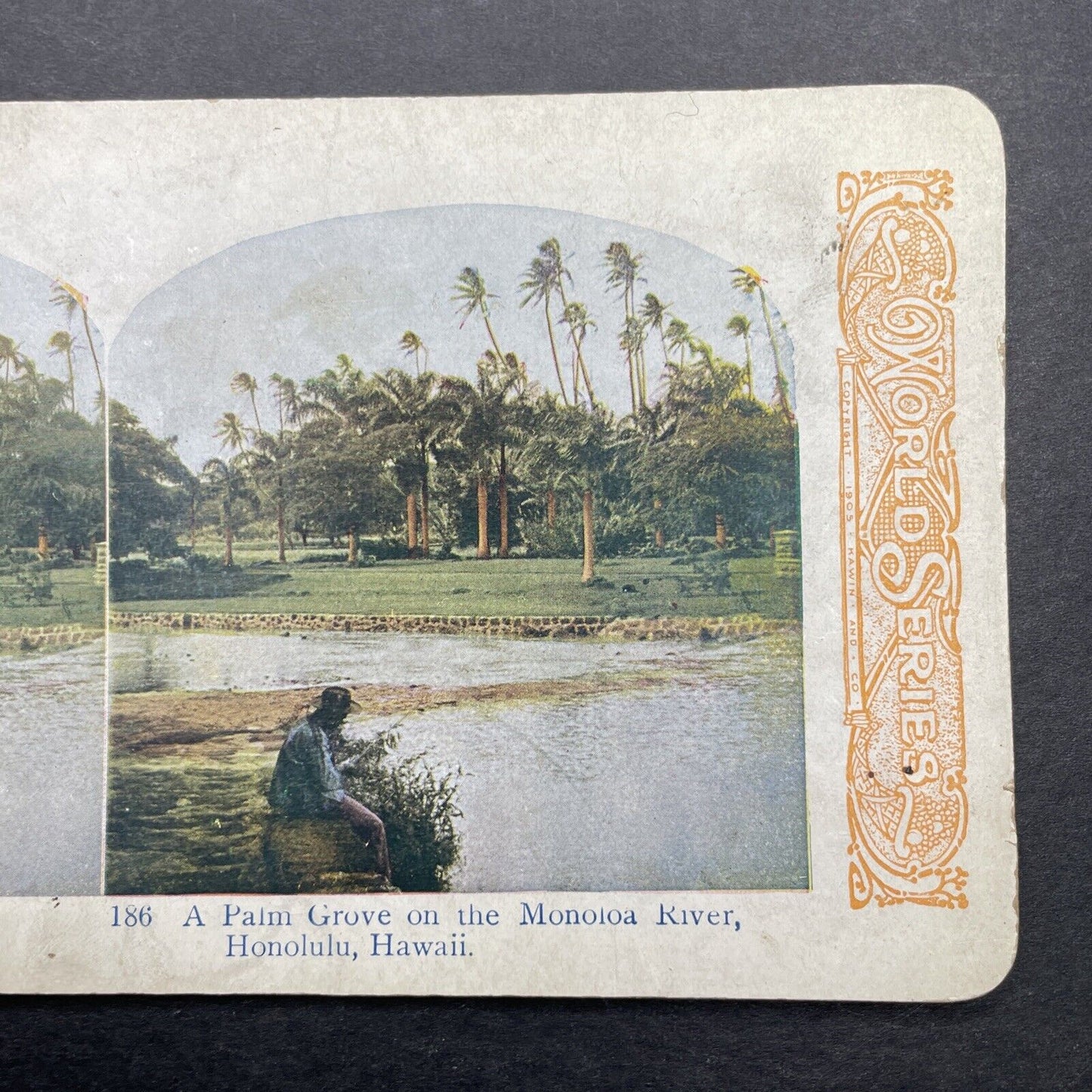 Antique 1905 Manoa Stream Honolulu Hawaii Stereoview Photo Card P580-086