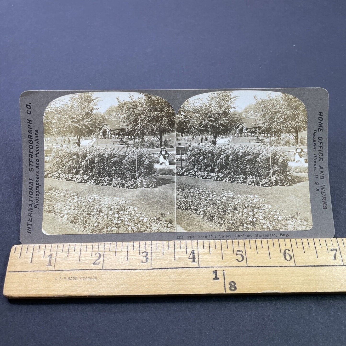 Antique 1905 Valley Gardens Harrogate England Stereoview Photo Card P2652