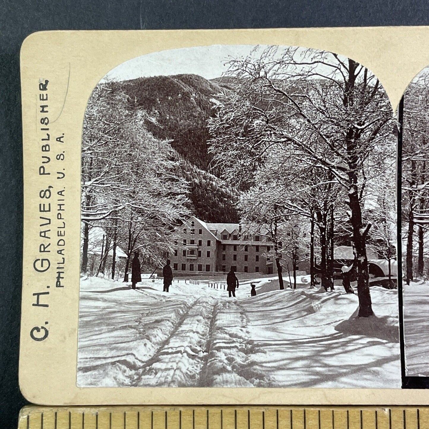 Franconia New Hampshire The Profile House Stereoview Antique c1897 X3537