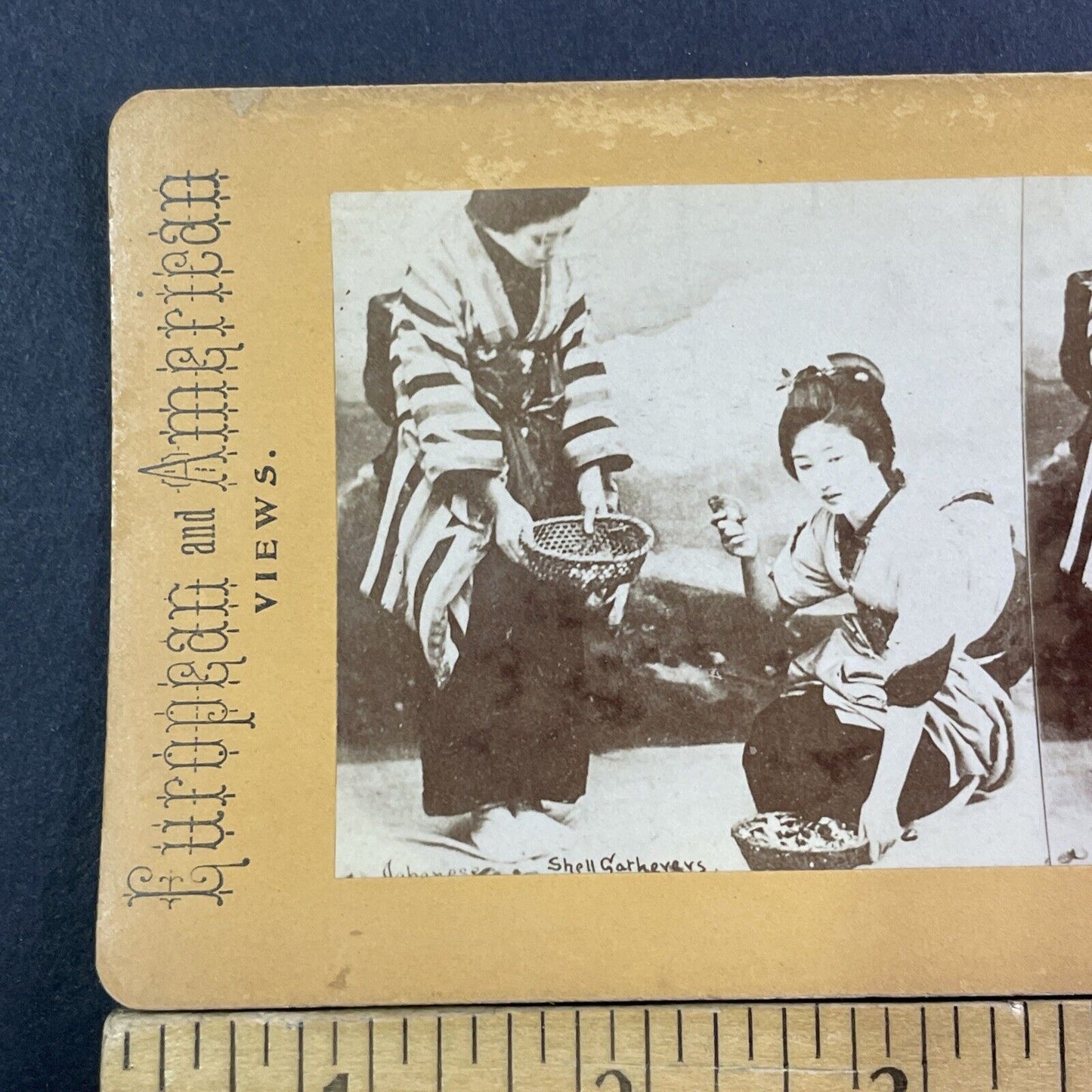 Japanese Women Shell Picking Stereoview Kusakabe Kimbei Antique c1870 X3113 RARE