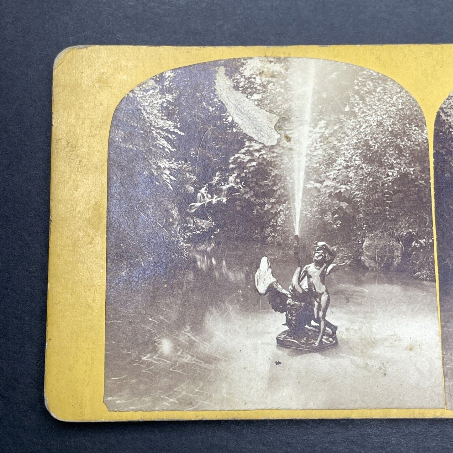 Antique 1860s Boy And Swan Pfaueninse Berlin Stereoview Photo Card P1150