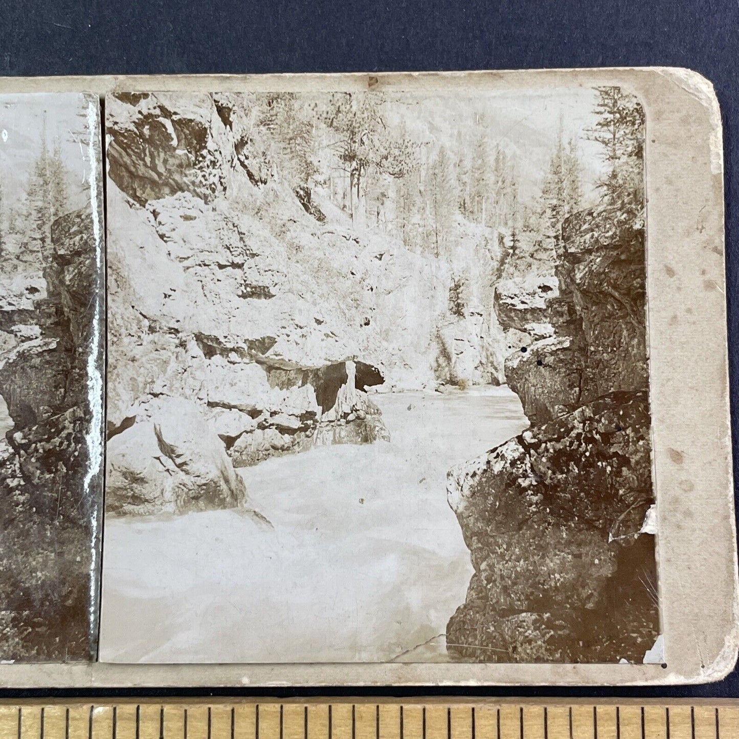 Kuragan River Valley Altai Russia Stereoview IR Tomashkevich Antique c1896 X2630