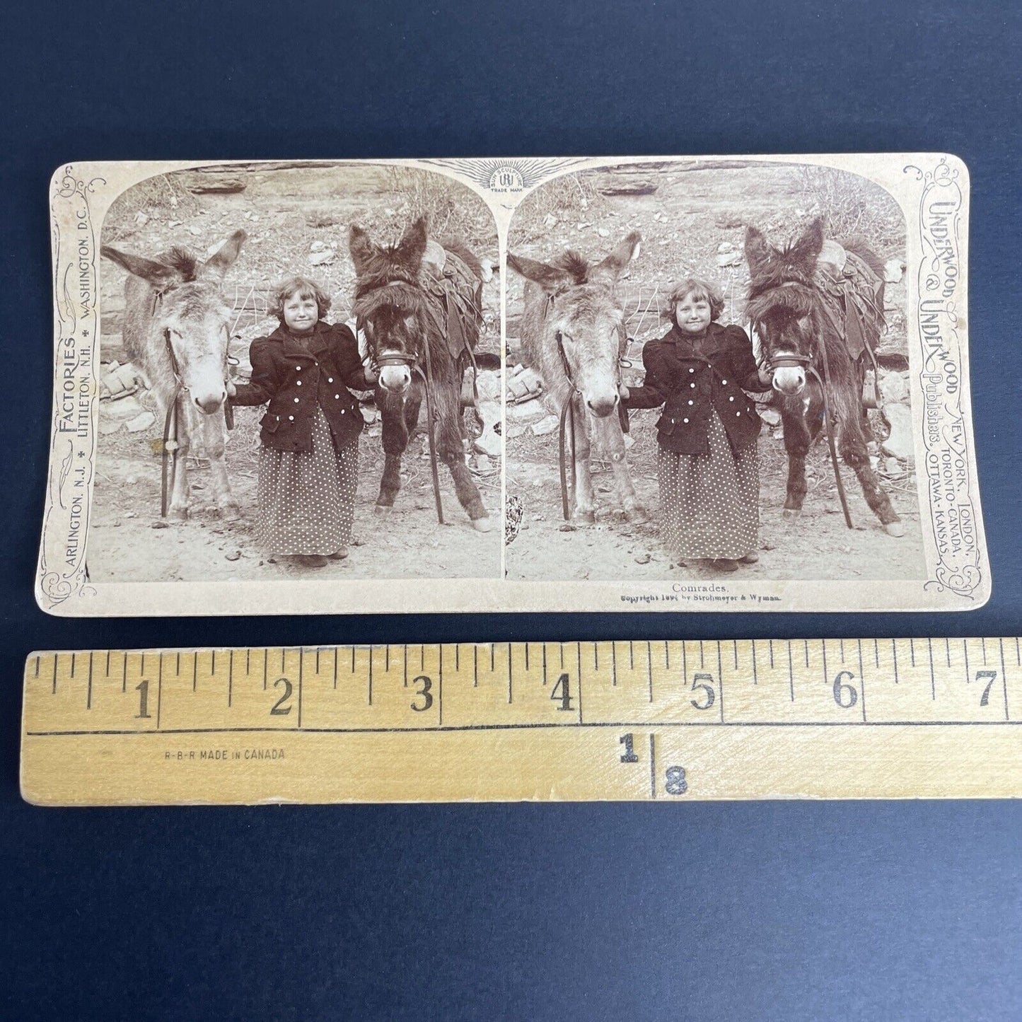 Antique 1894 Child With Two Donkeys In Desert Stereoview Photo Card PC794