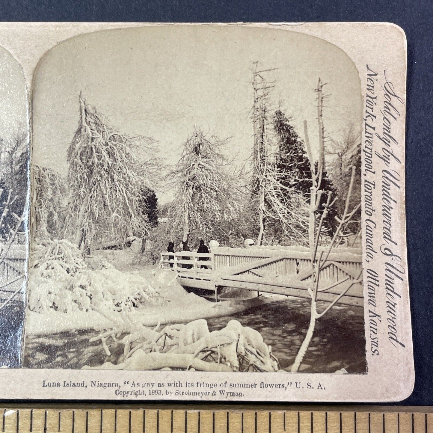 Luna Island Bridge Heavy Snow Stereoview Strohmeyer Antique c1893 Y1778