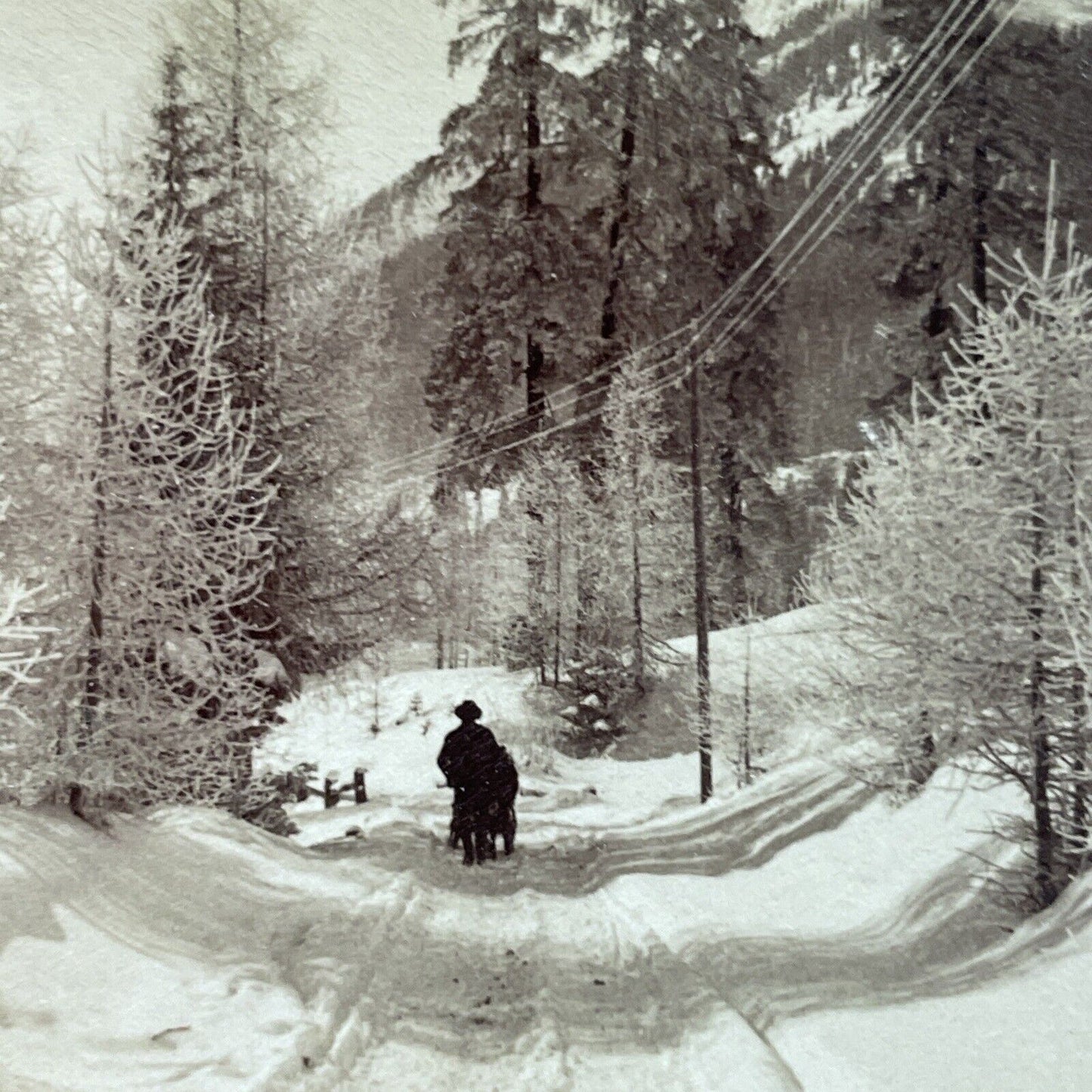 Antique 1901 Huge Snowstorm Davos Switzerland Stereoview Photo Card P3931