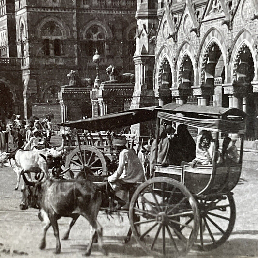 Antique 1901 Taxi Rickshaw Bombay India Stereoview Photo Card P4451