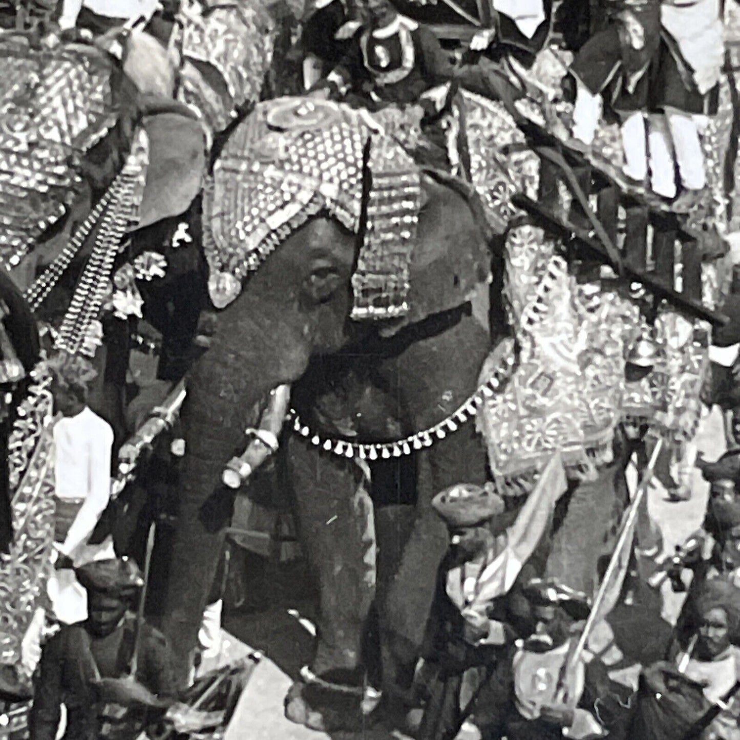 Antique 1910s Elephants Dressed Up Military Parade Stereoview Photo Card P4427