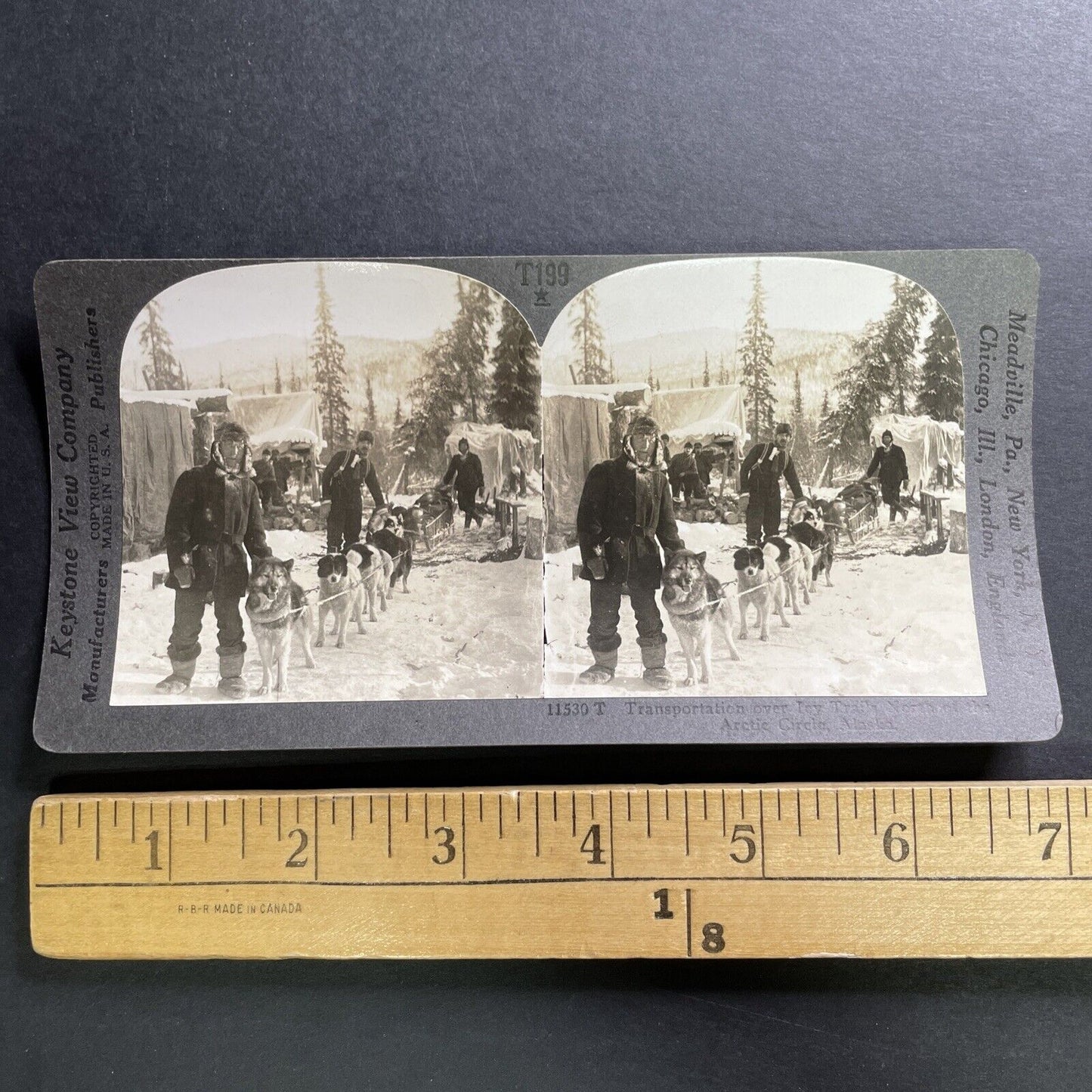 Antique 1909 Dogsledding In Northern Alaska Stereoview Photo Card P1489