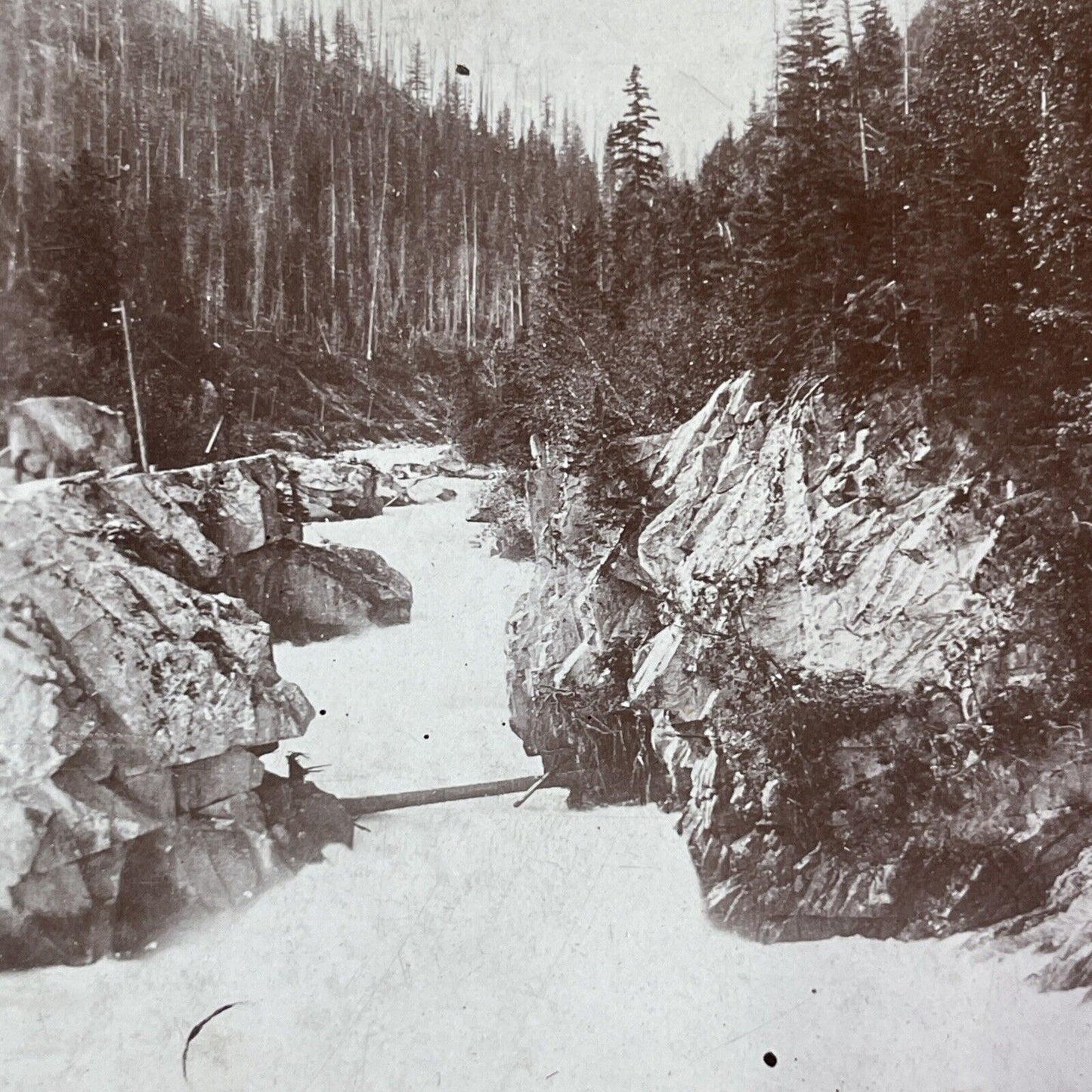 Beaver Canyon Gorge British Columbia Stereoview CPR Rail Views c1890s Y2119