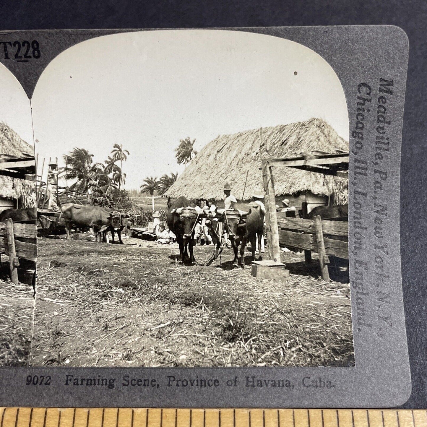 Antique 1910s Farmers Plow Fields Havana Cuba Stereoview Photo Card P4212