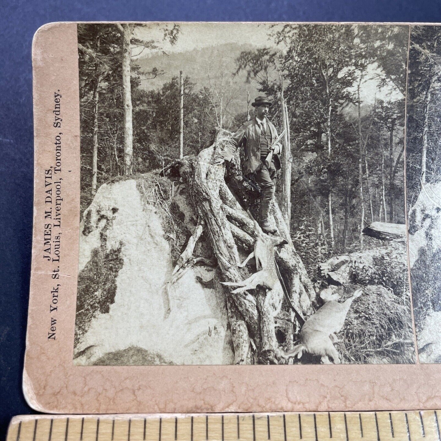 Antique 1899 Man Shoots Deer From Rock Blind Stereoview Photo Card P3510