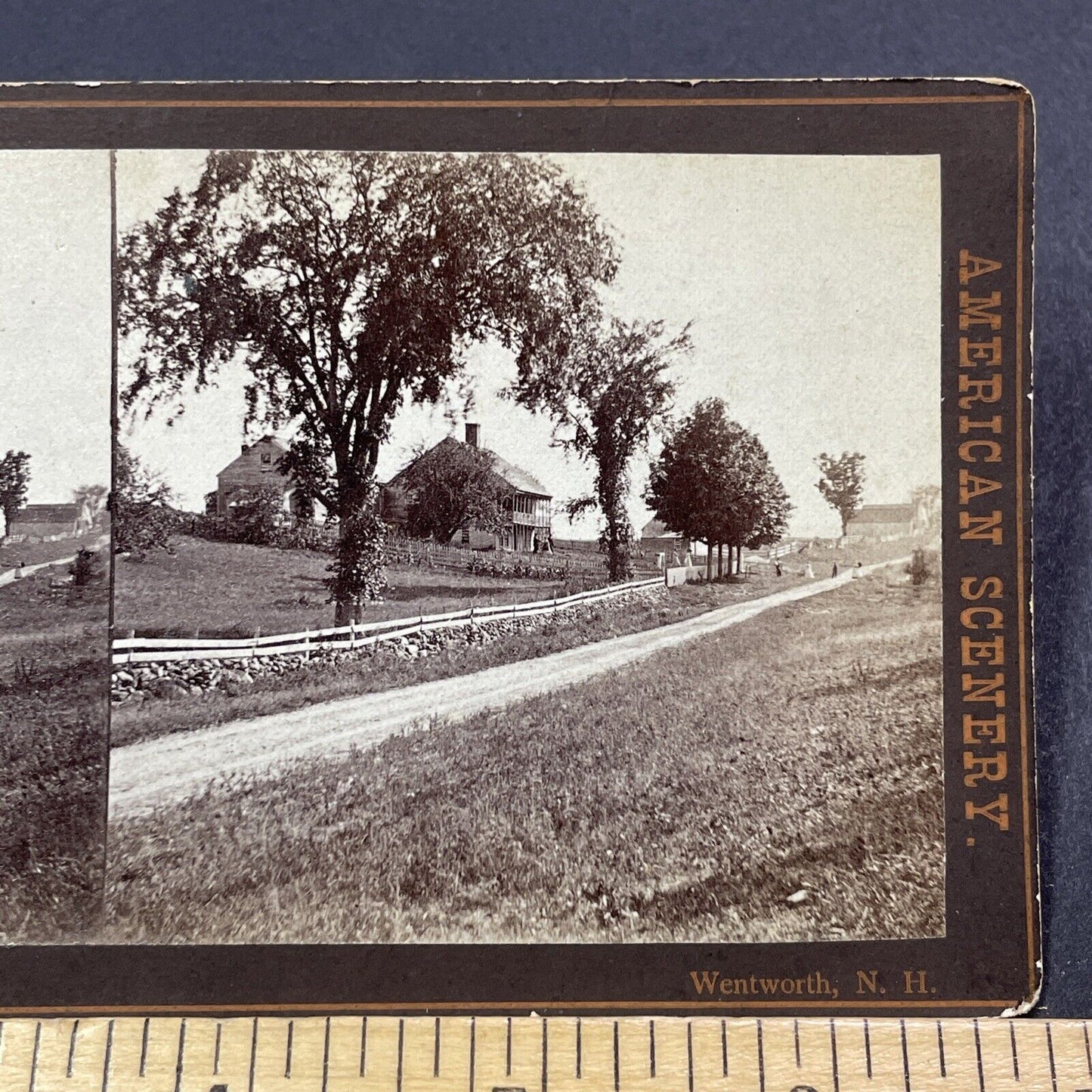 Antique 1870s Wentworth New Hampshire Town View Stereoview Photo Card V1929