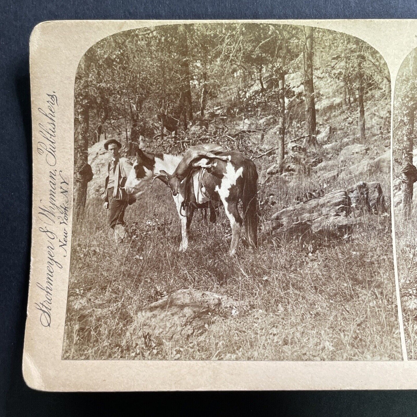 Antique 1900 Deer Hunting In The Swiss Alps Stereoview Photo Card P1567